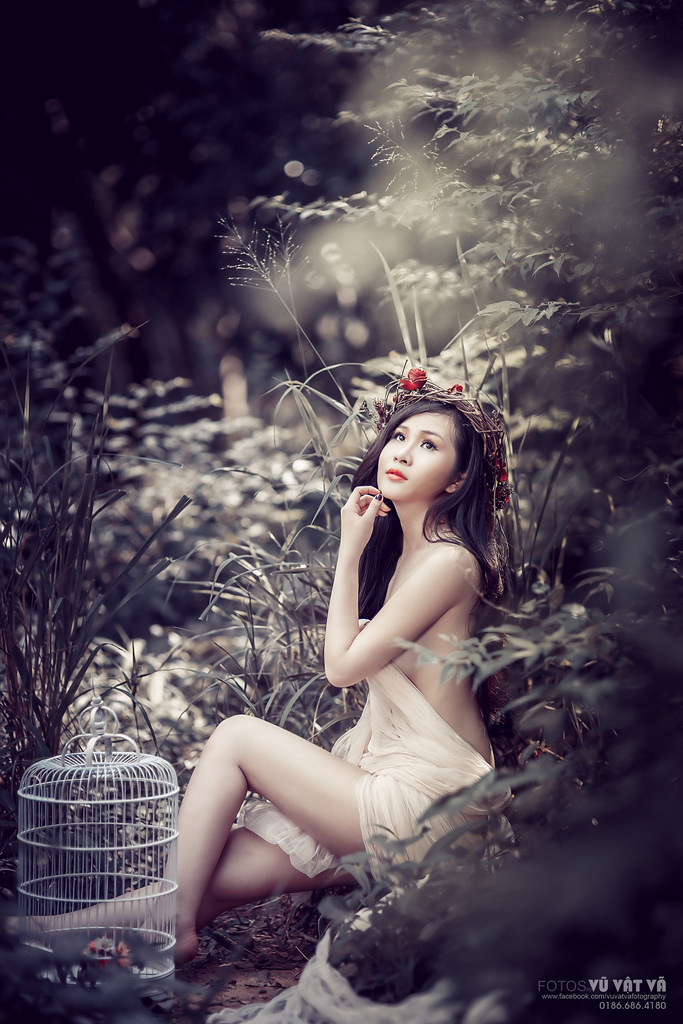 兰花草在线观看高清完整版国语